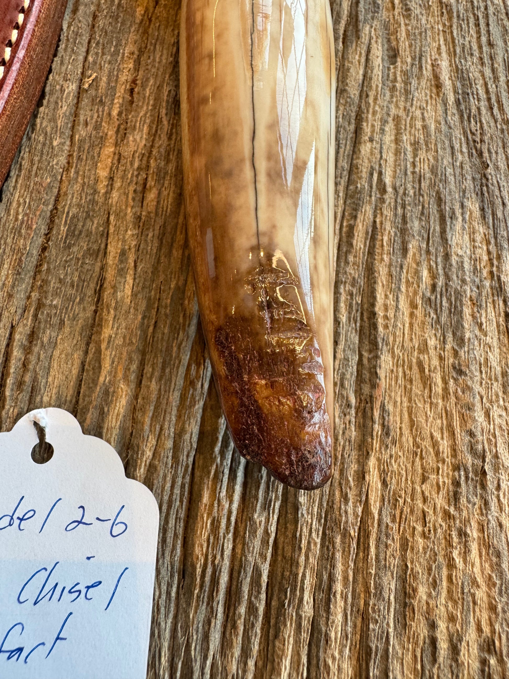 Randall Knife Model 2-6. Artifact Fossil Walrus in an Ice Ax Handle. Purchased from Rick Bowles, Stainless Steel.