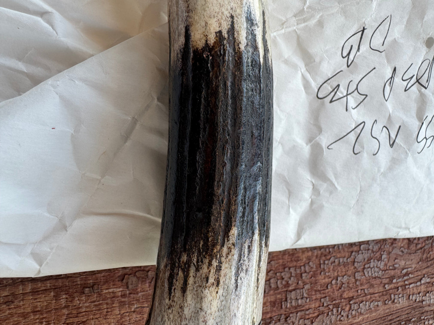 New in paper Randall Model 1-8 with shop Stag. Nickel silver Hilt and Aluminum Butt cap.