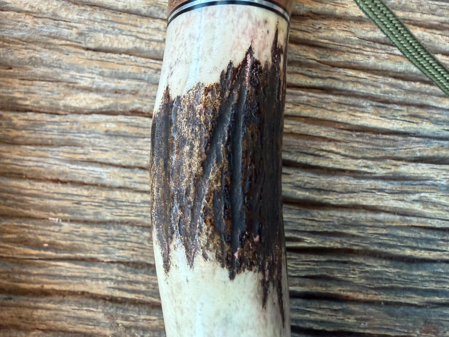 New in paper Randall Knife Model 25-6 Trapper in Stag Leather Handle Stainless Blade, NSH