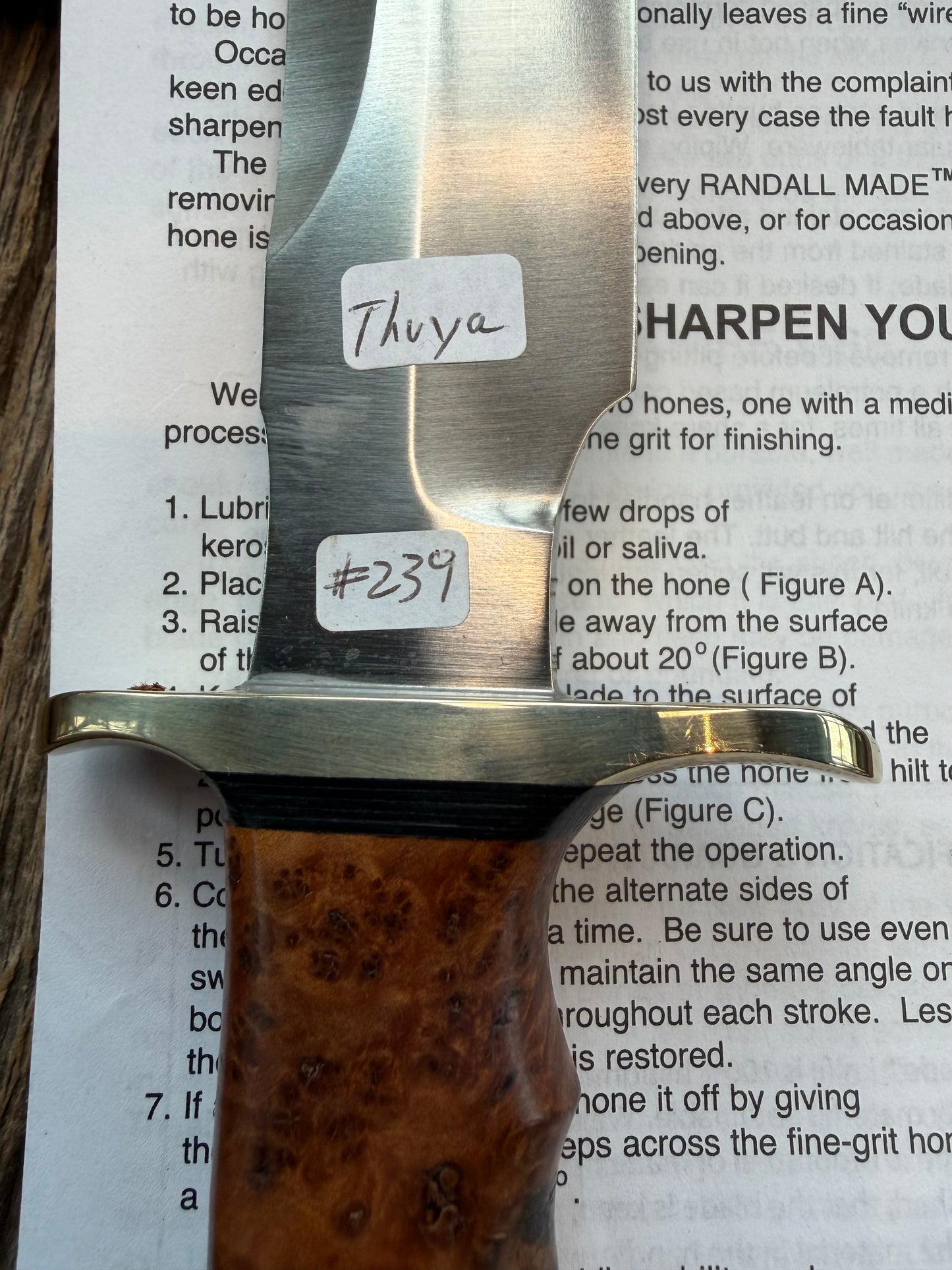 New in Paper Randall Made Knife Model 1-8 in Thuya wood. Stainless, single Black spacer, Sawteeth, Nickel Hilt.