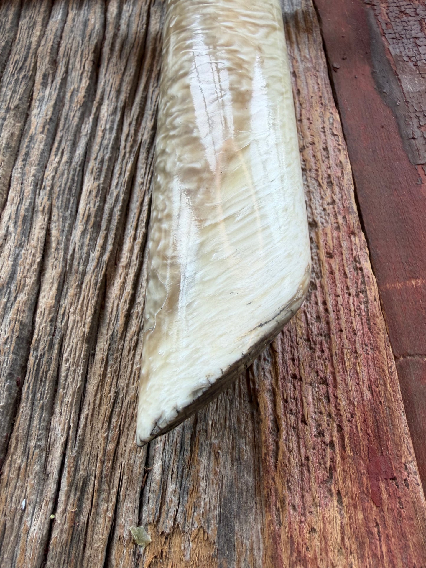 New in Butchers paper Randall Model 12-9/14 Grind with a Huge piece of Musk Ox. Nickel Silver Hilt and raw natural end.