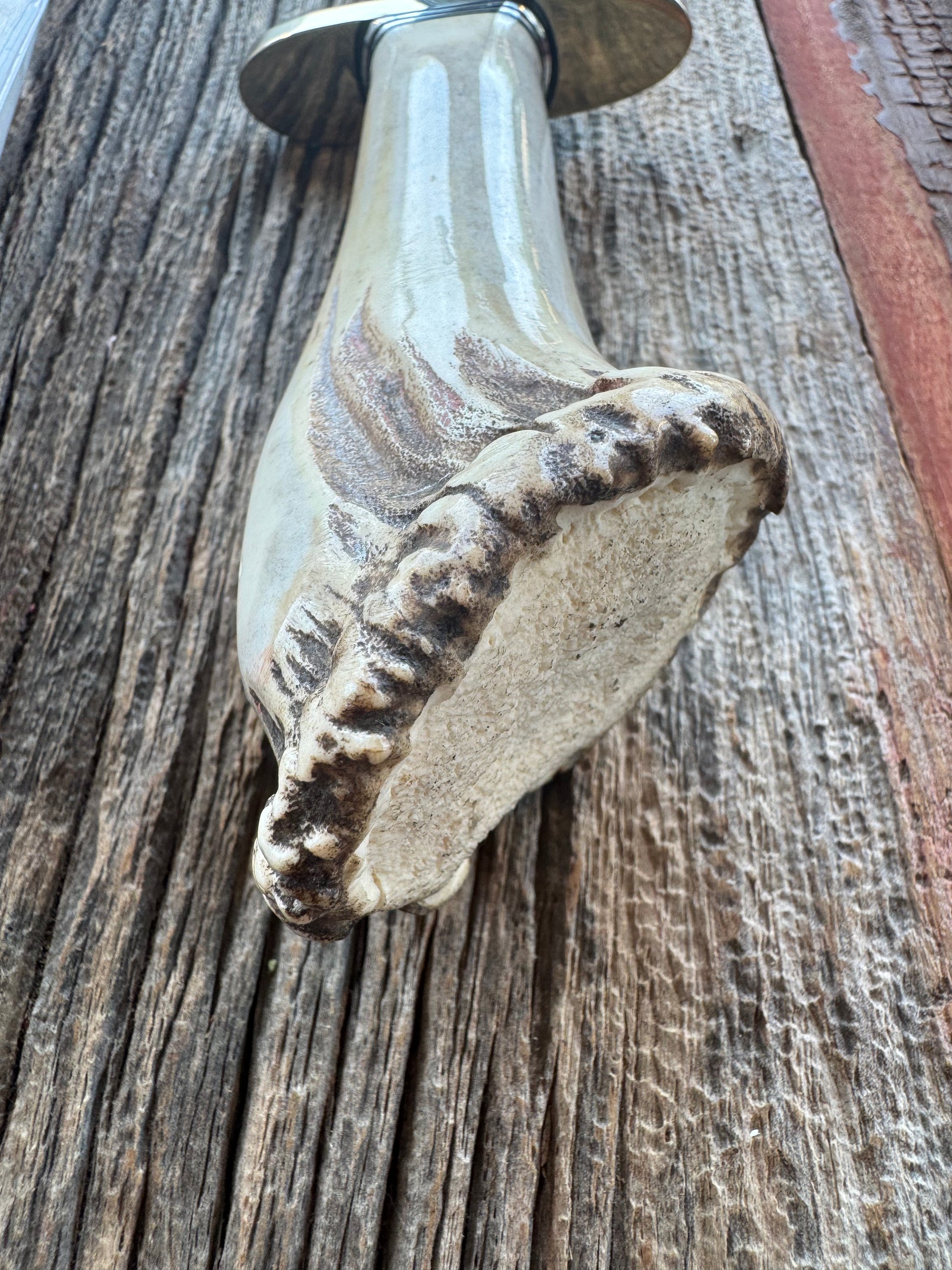 Randall Model Clinton Special in a gorgeous piece of Polished Crown Stag. Nickel Silver Hilt and a natural exposed end. Stainless,