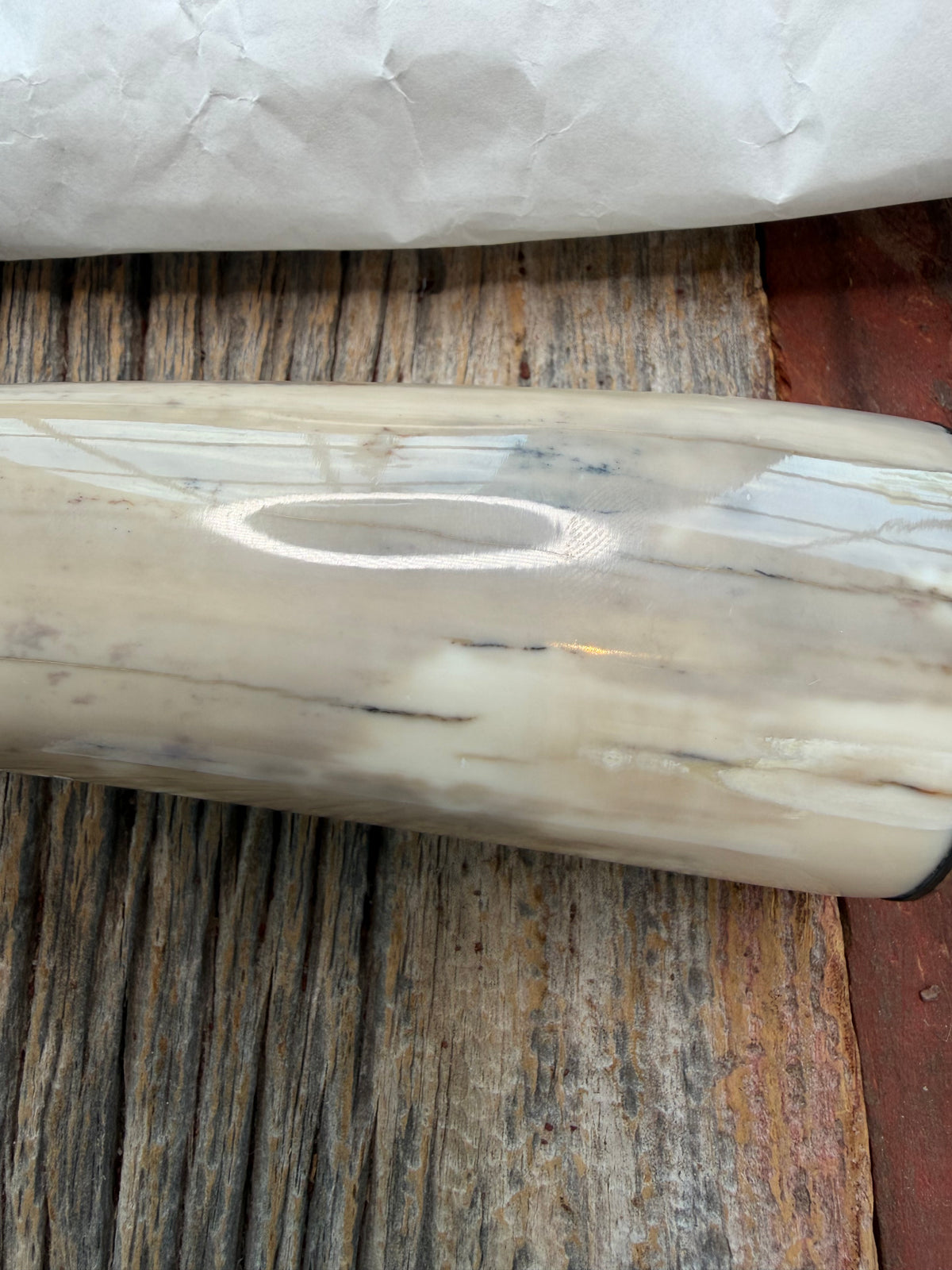 New in Paper Randall Model 12-8 Small Sasquatch with a nice piece of Fossil Walrus Ivory, Nickel Silver Hilt and butt plate.