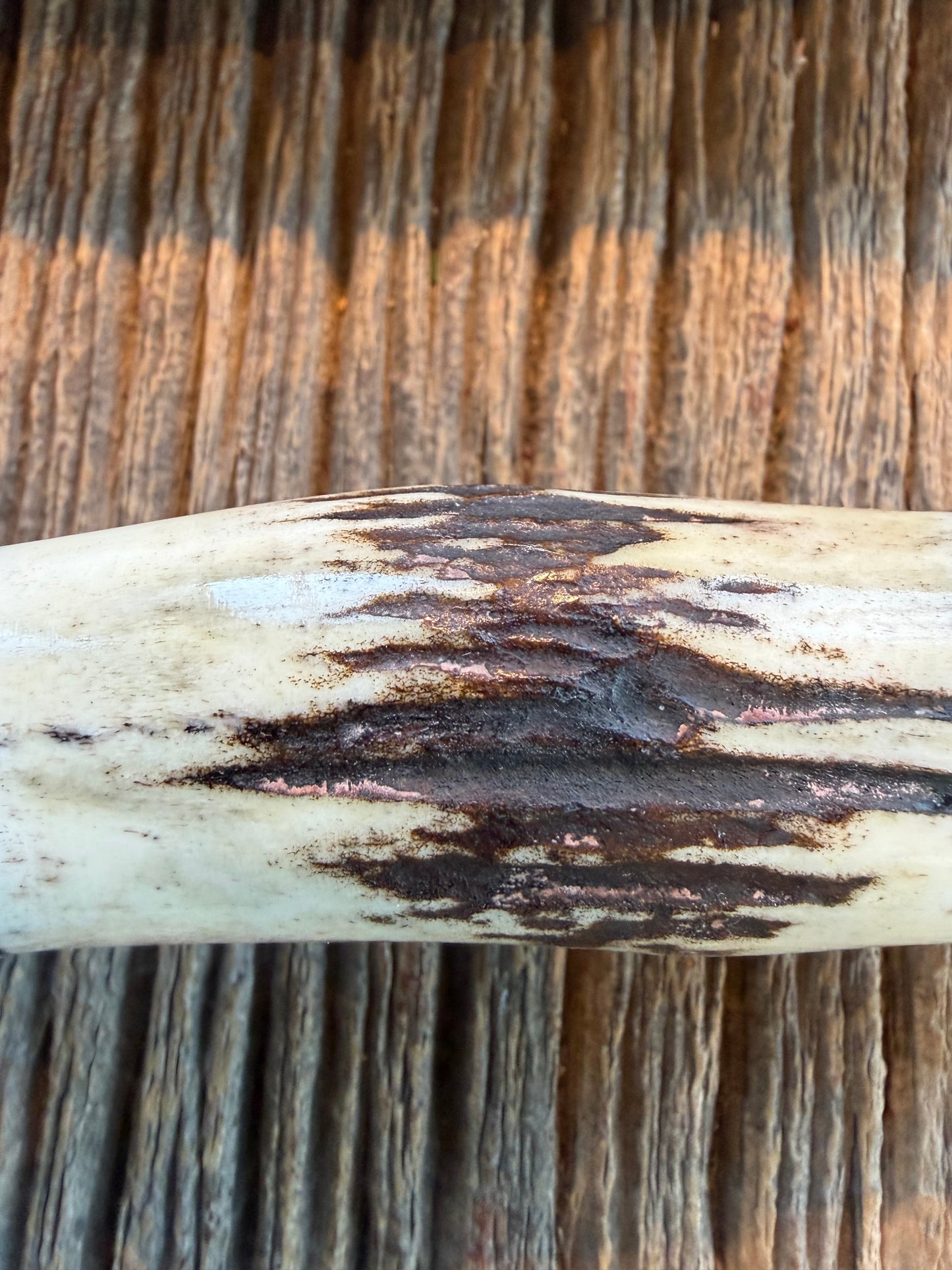 New in paper Randall Knife Model 25-6 Trapper in Stag Leather Handle Stainless Blade, NSH