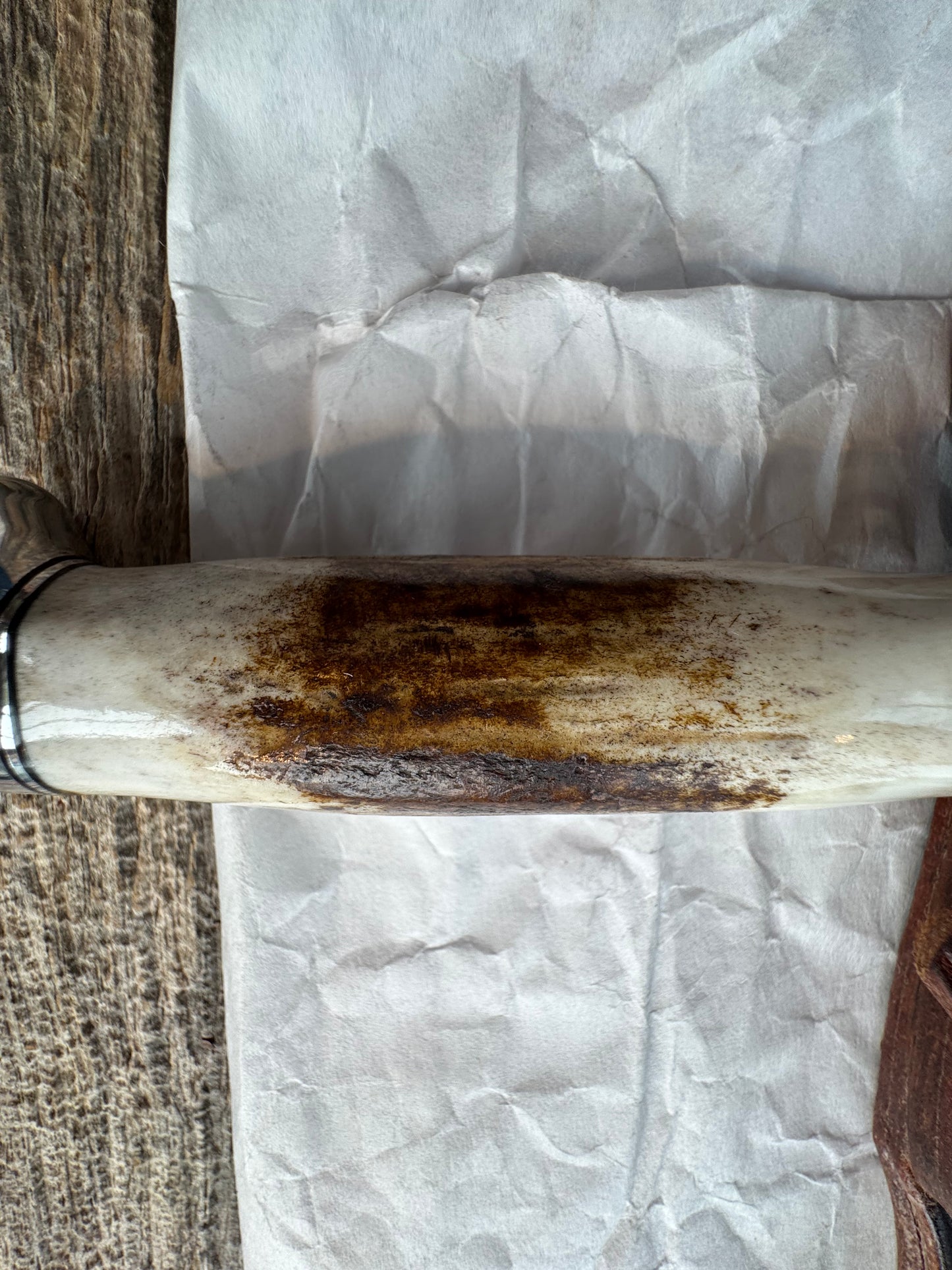 New in Paper Randall Knife Model #8-4 Old Style Trout And Bird Stag Handle