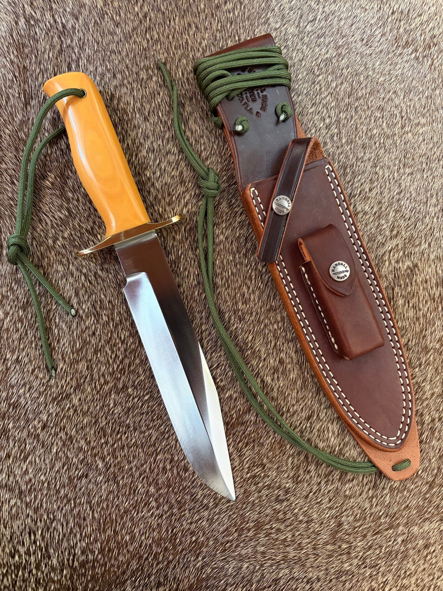Model 14 - Attack