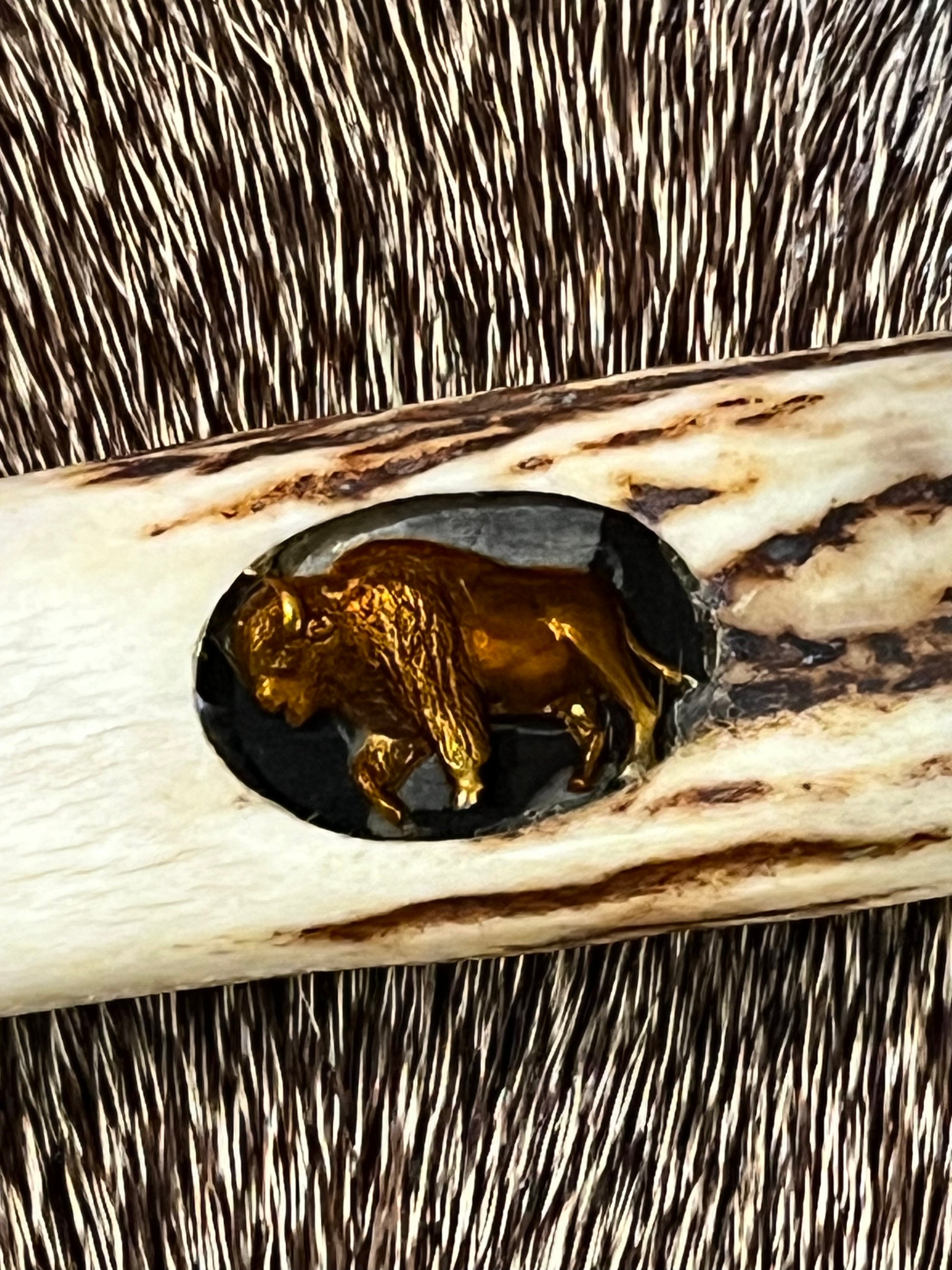 Model 25-Trapper 5” Tom Leschorn Carved, with Alaskan Gold Nugget Carved into a Buffalo