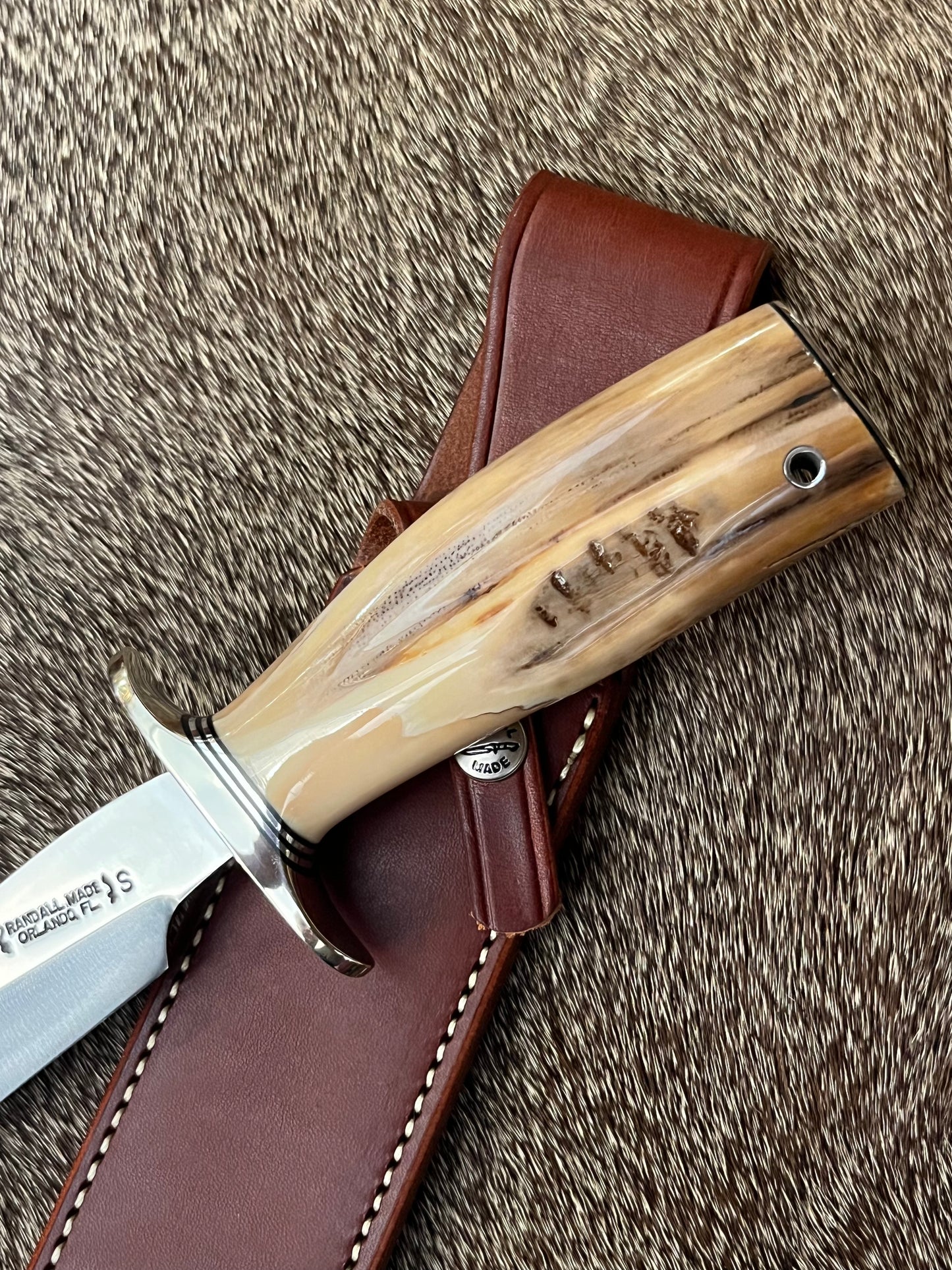 Model 6-9” Filet