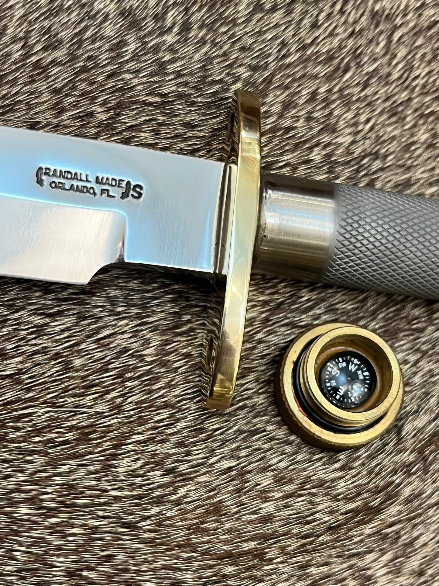 Model 18-Attack Survival