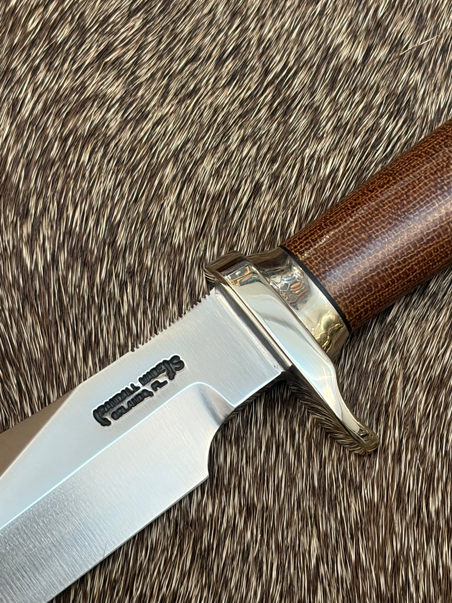 Model 8-4” Trout & Bird.           NASA 1 of its Kind Made!!