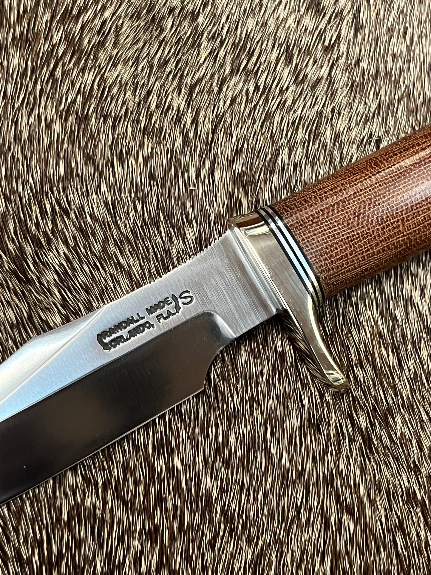 Stanaback Special              NASA 1 of 40th