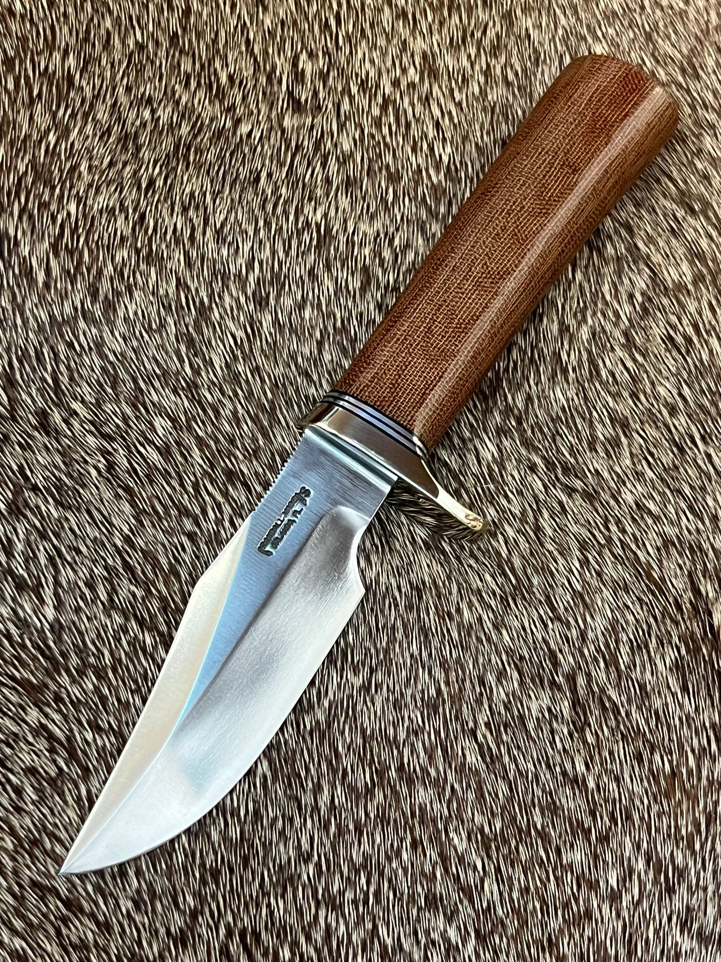 Stanaback Special              NASA 1 of 40th