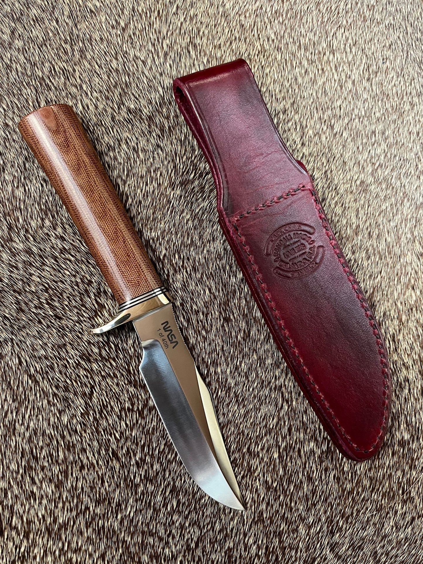 Stanaback Special              NASA 1 of 40th