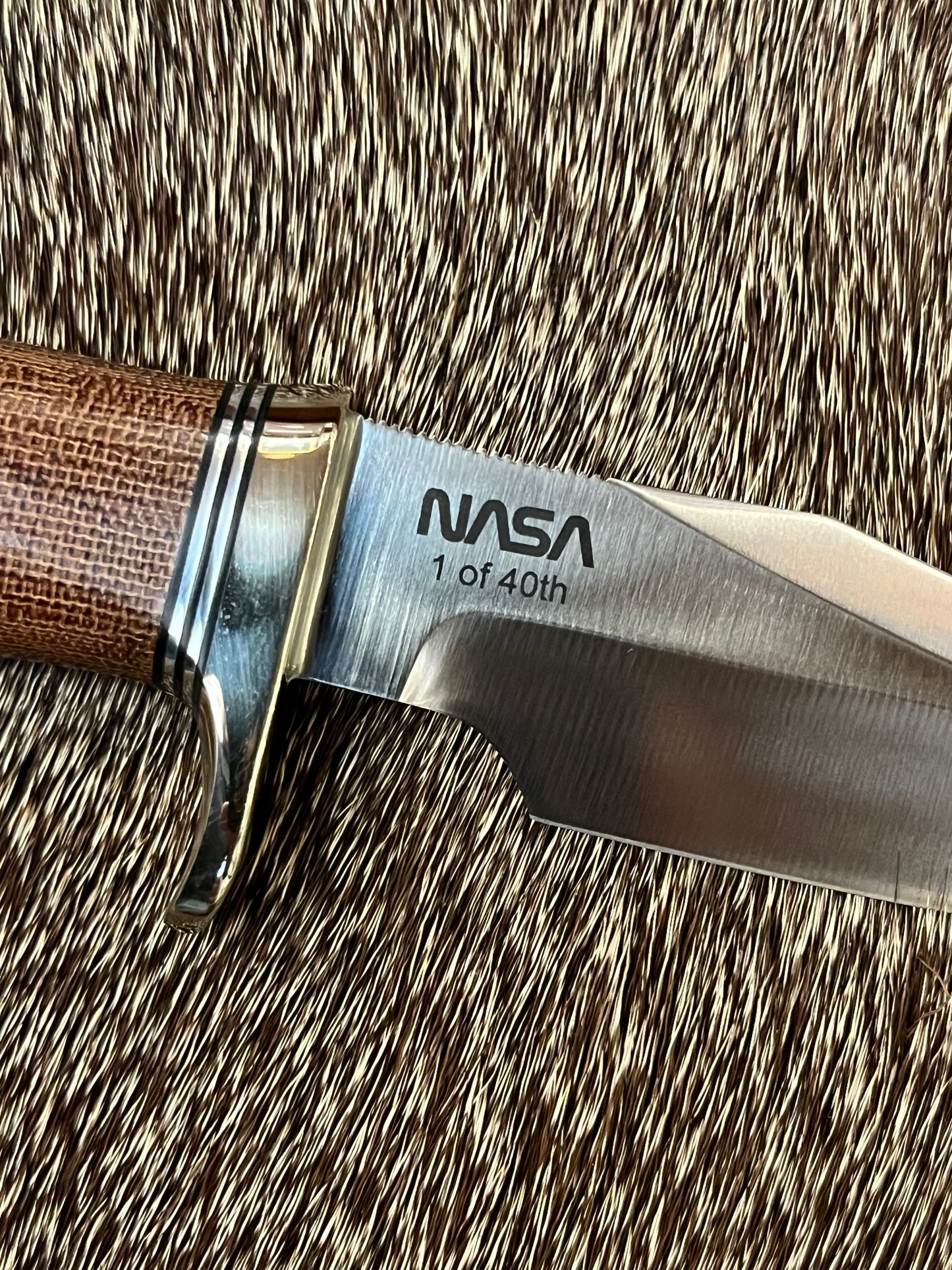 Stanaback Special              NASA 1 of 40th