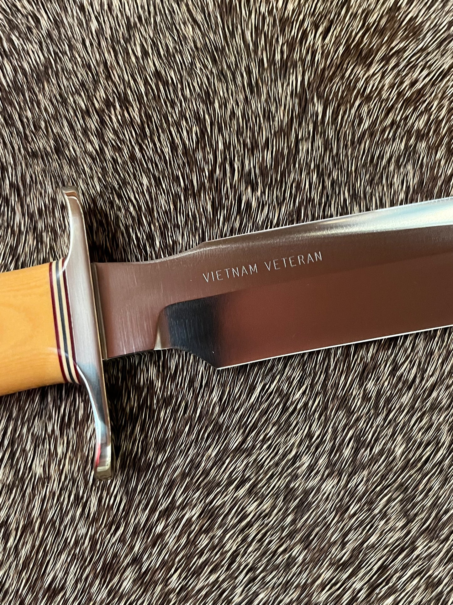 Vietnam Veteran #39 of 100