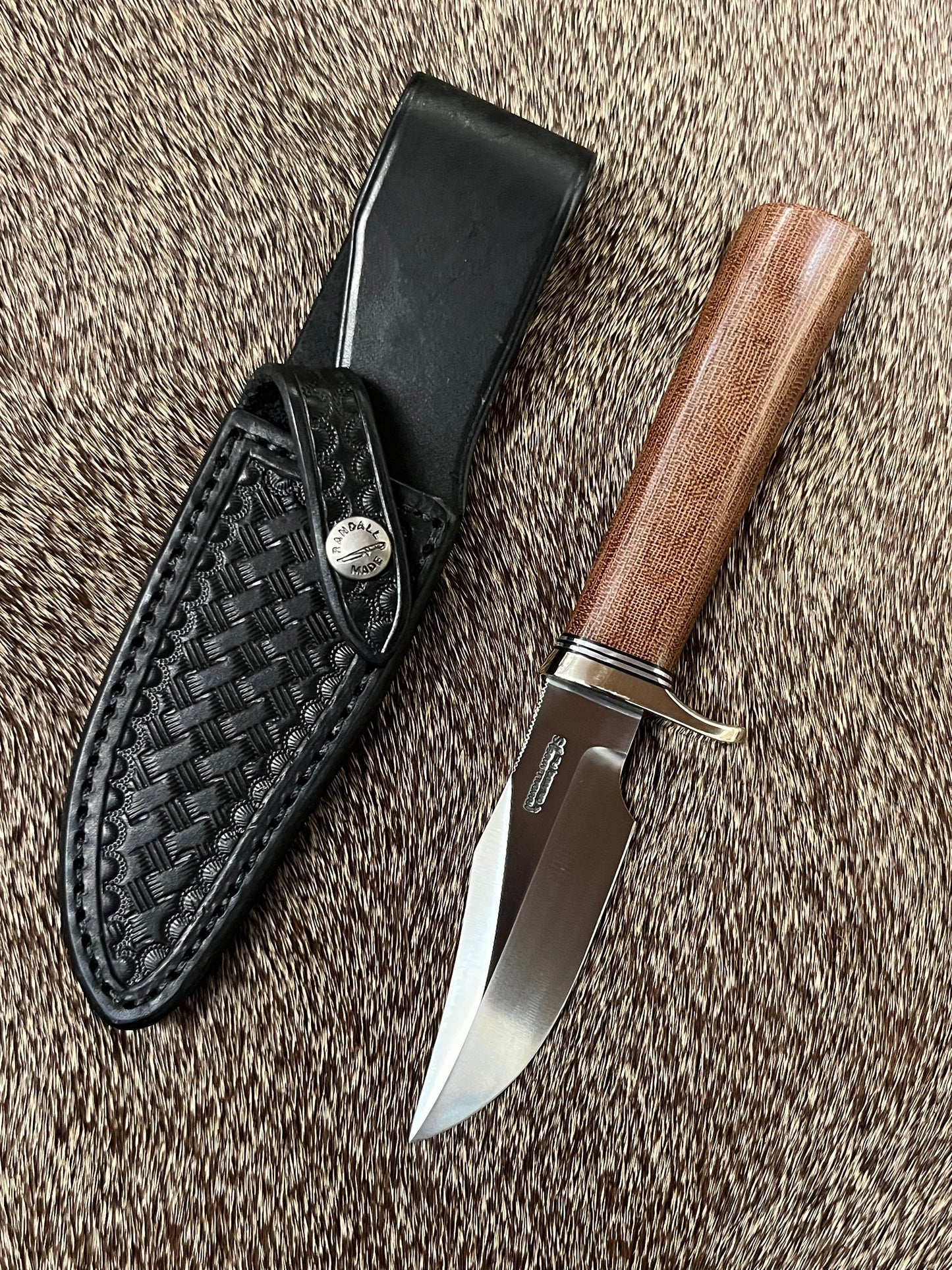 Stanaback Special              NASA 1 of 40th