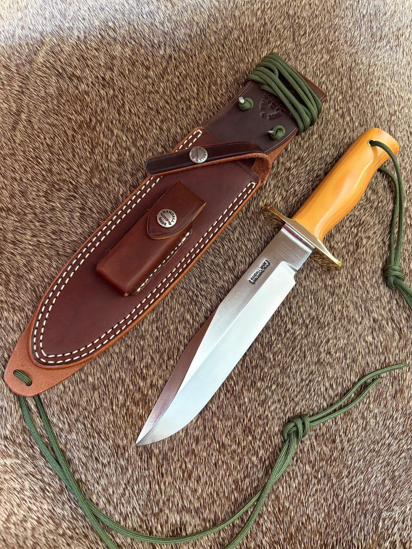 Model 14 - Attack