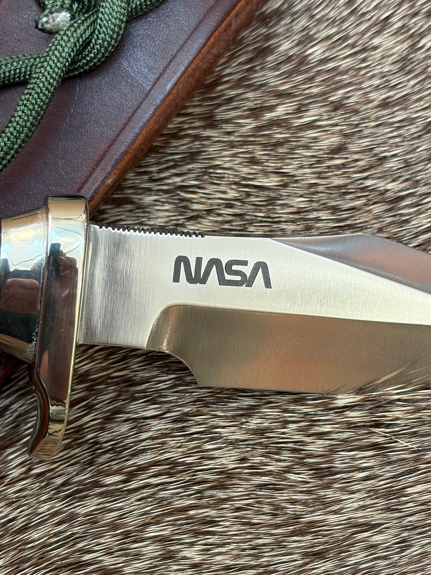 Model 8-4” Trout & Bird.           NASA 1 of its Kind Made!!