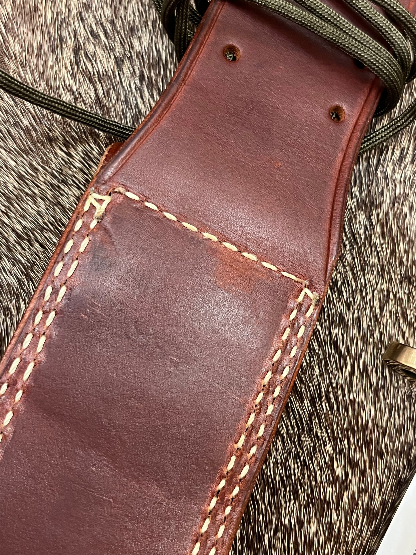 Model 18-Attack Survival