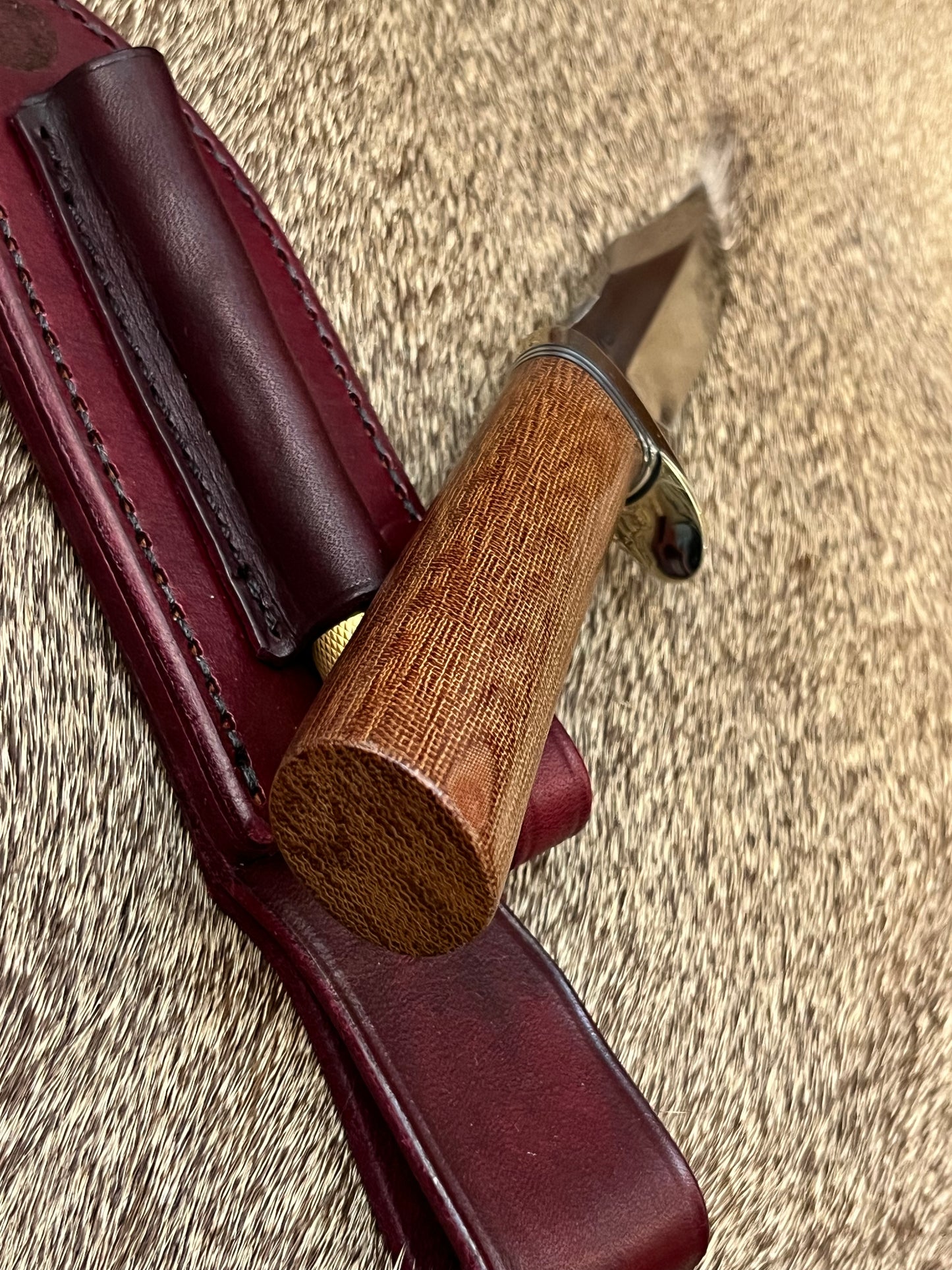 Stanaback Special              NASA 1 of 40th