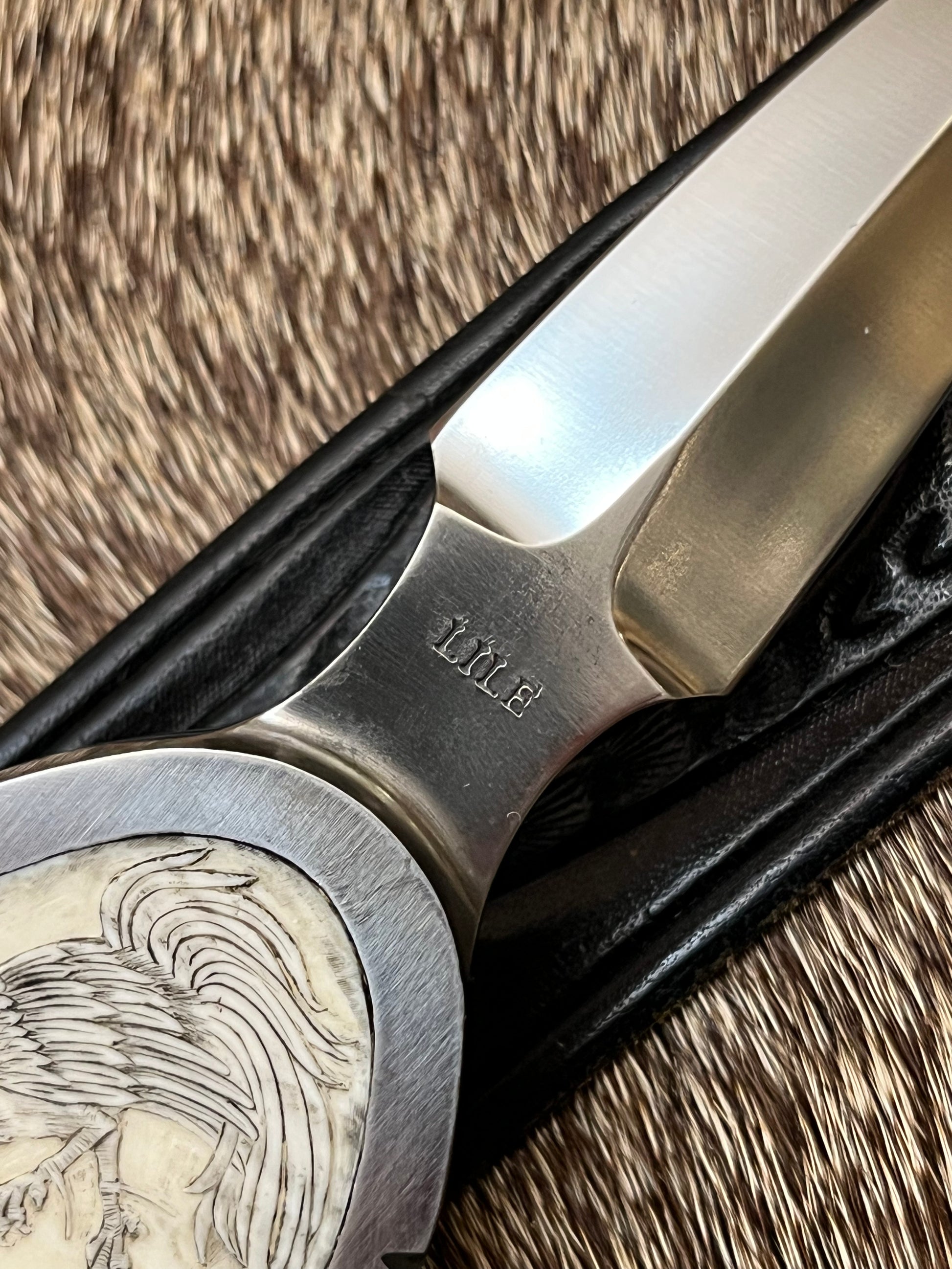 Jimmy Lile Belt Buckle Knife Carved Ivory Fighting Rooster’s