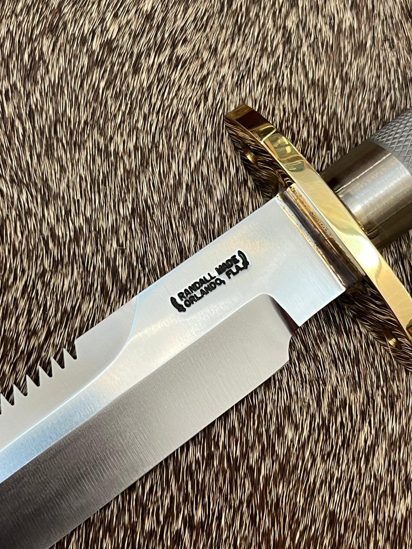 Model 18-Attack Survival